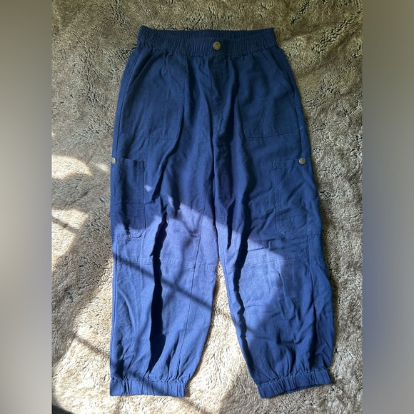 Blue Linen Blend Pants - Picture 1 of 5